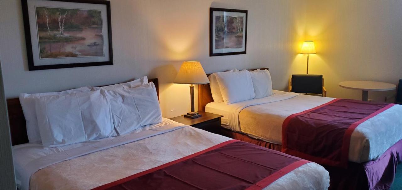 Bellis Inn Bellingham Extérieur photo