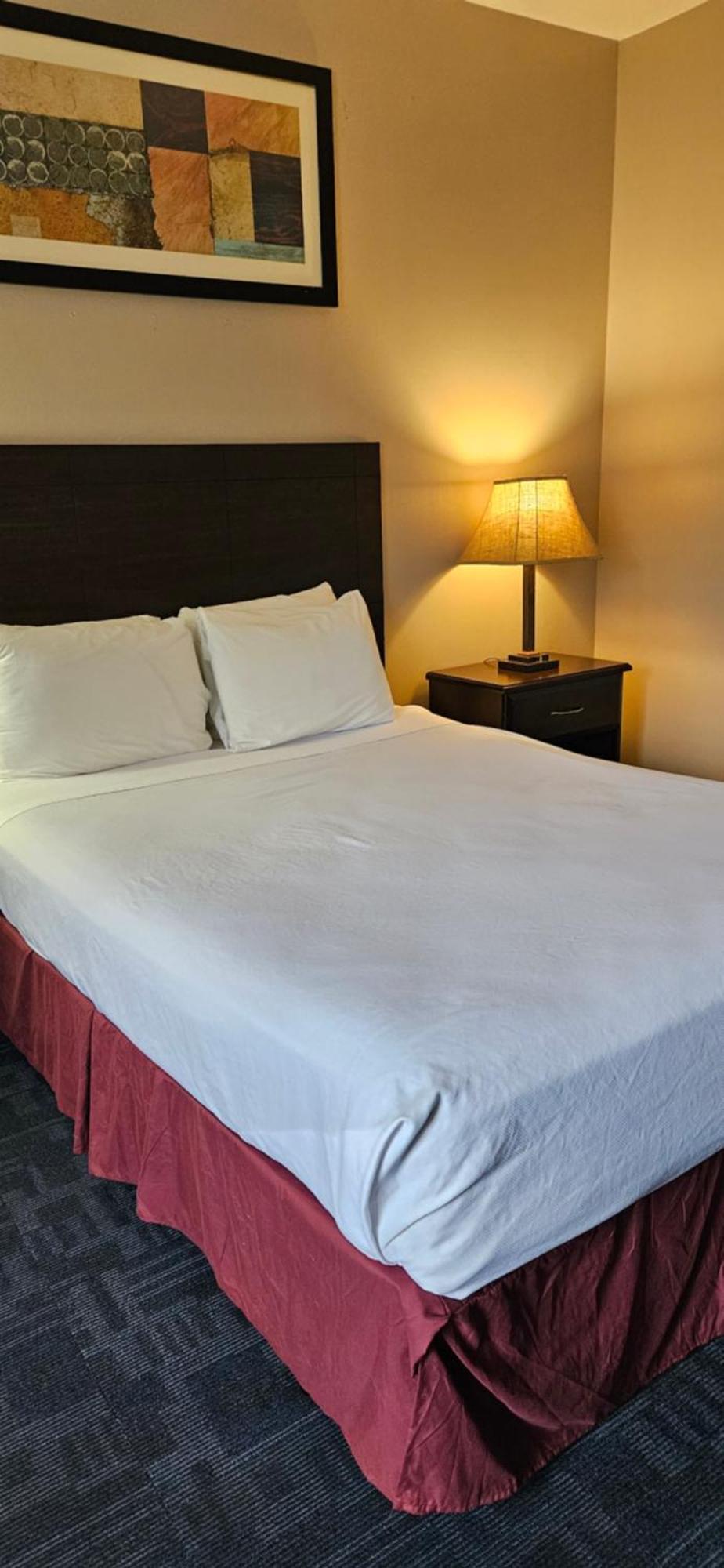 Bellis Inn Bellingham Extérieur photo