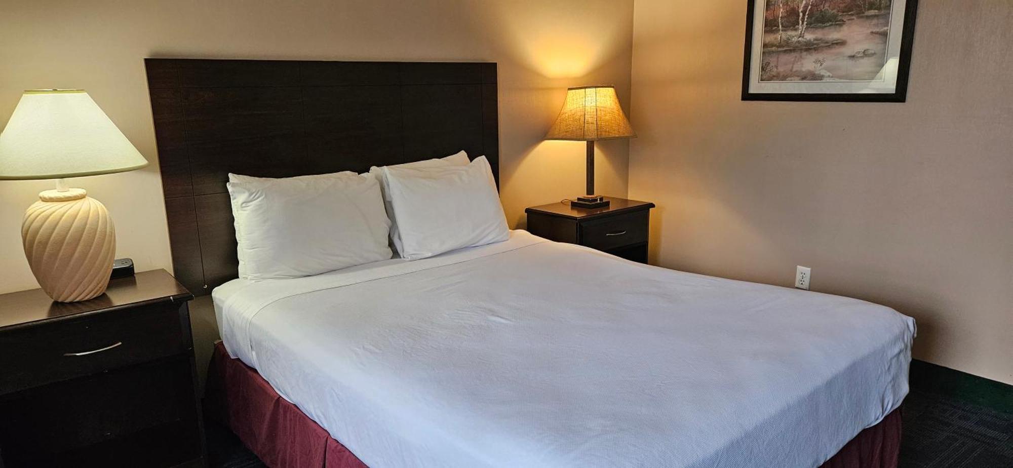 Bellis Inn Bellingham Extérieur photo