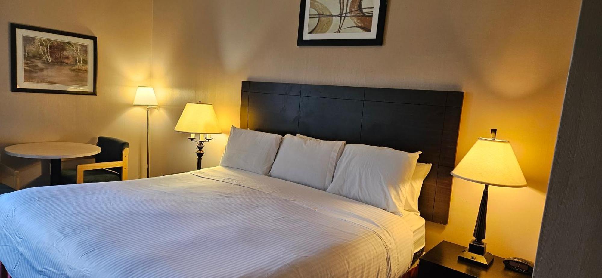 Bellis Inn Bellingham Extérieur photo